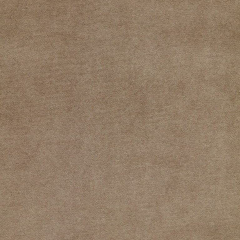 Mocha
