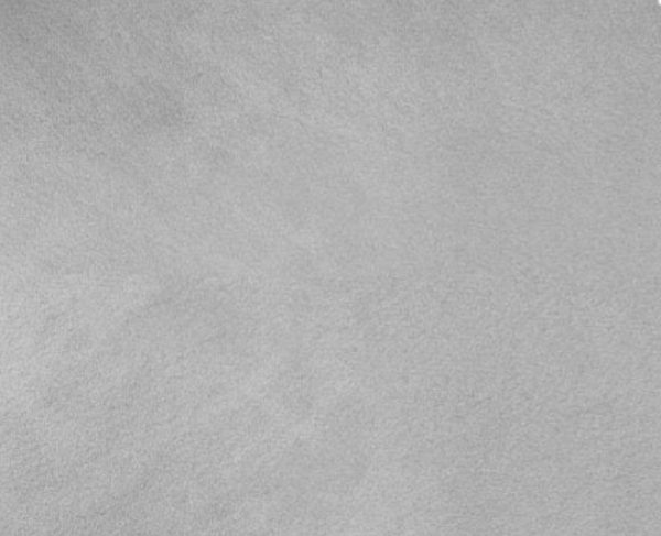 Dove Grey